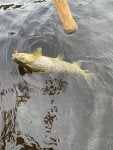 IMG_1580.jpeg